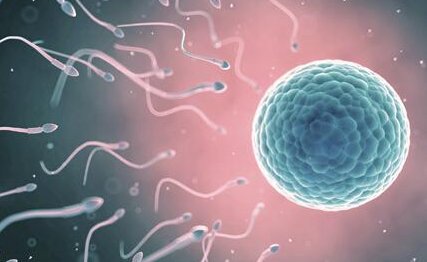 哈尔滨多卵囊巢治疗医院名单分享，哈医大一院还不错