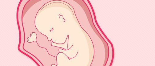 荆州市中心医院做三代试管成功率如何？一文读懂需要花多少钱